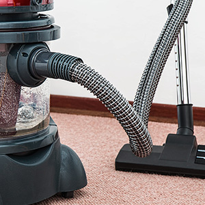carpet cleaning services